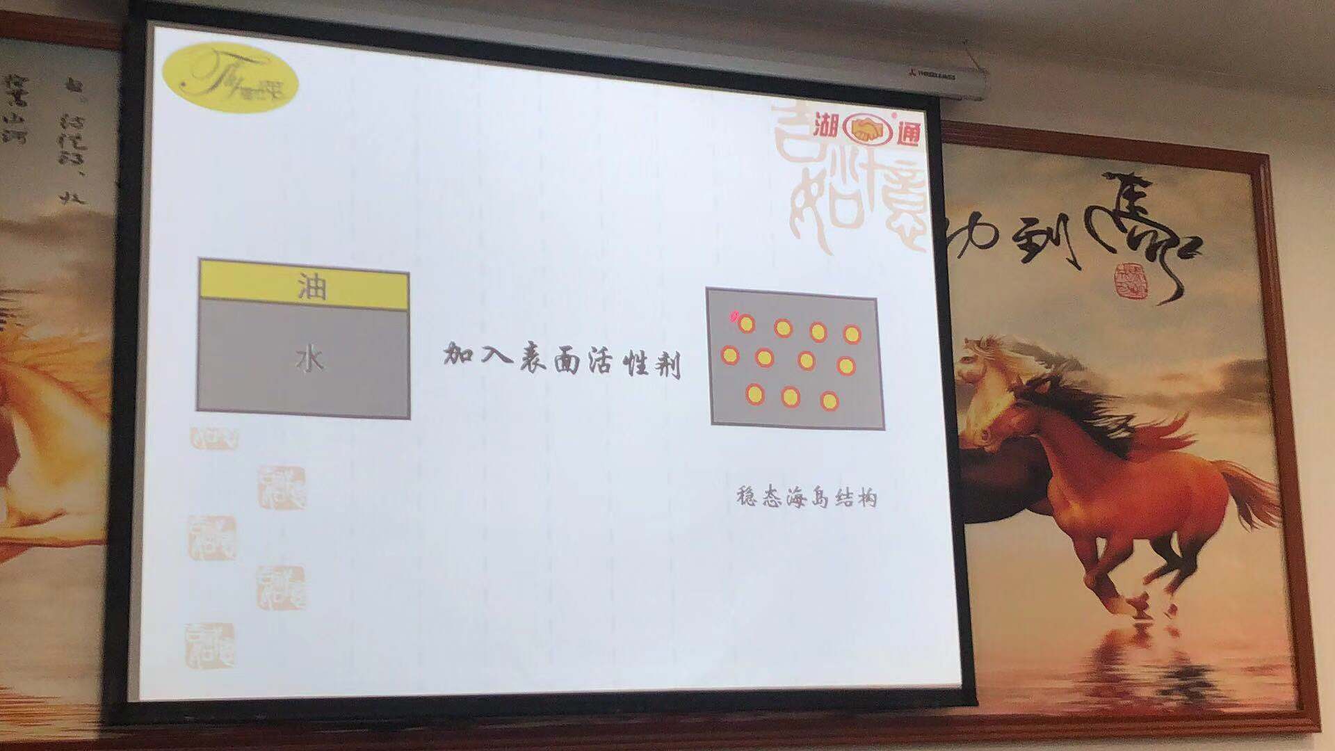 9949su蓝月亮资料