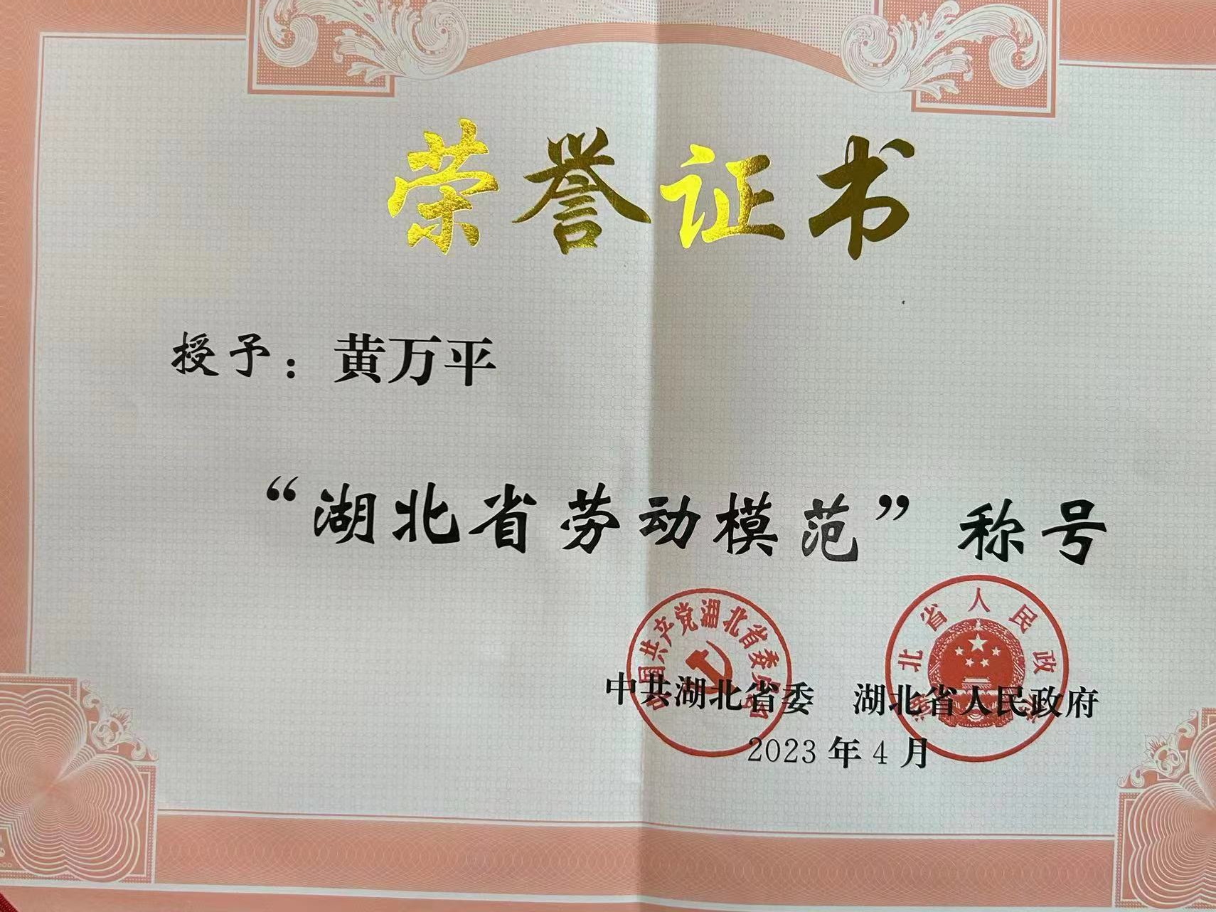 9949su蓝月亮资料